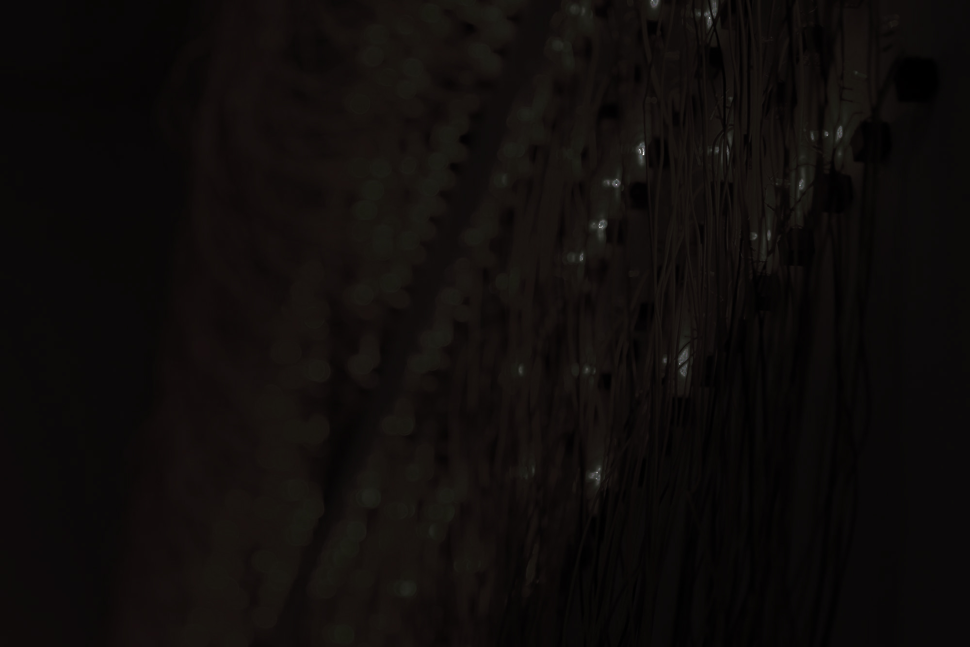 Detalle de obra de Leo Nuñez